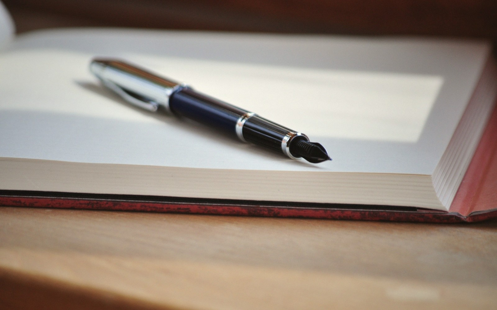 Notebook & fountain pen